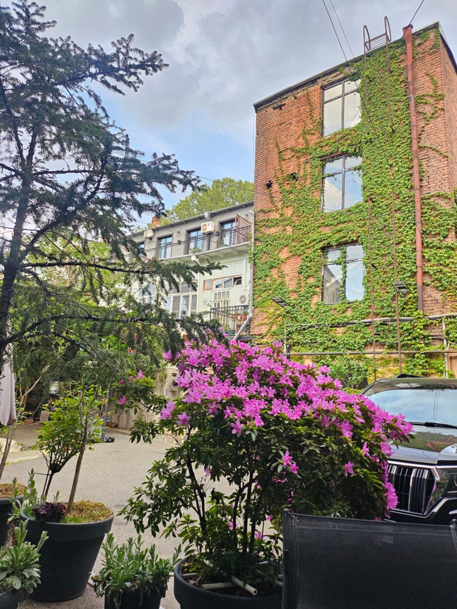 Old Tbilisi Apartments1 Bagian luar foto